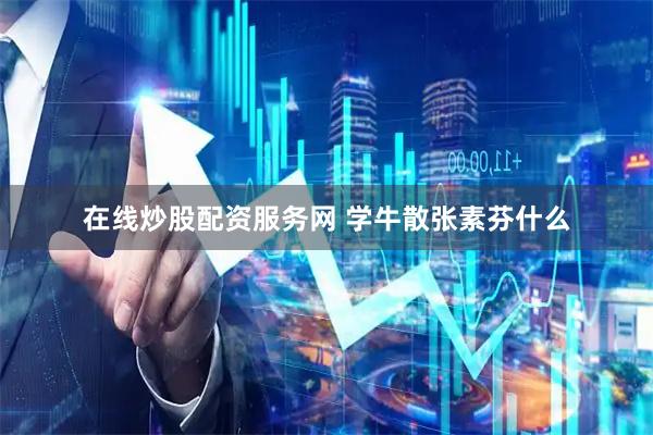 在线炒股配资服务网 学牛散张素芬什么