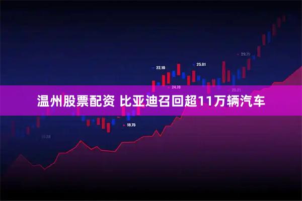 温州股票配资 比亚迪召回超11万辆汽车
